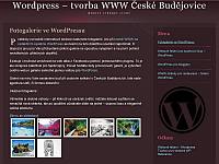 Vytvořeno několik minisites