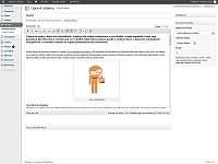 Pokytujeme novou službu - vytvoříme web na přání využívající systém Wordress