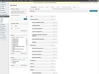 Pokytujeme novou službu - vytvoříme web na přání využívající systém Wordress